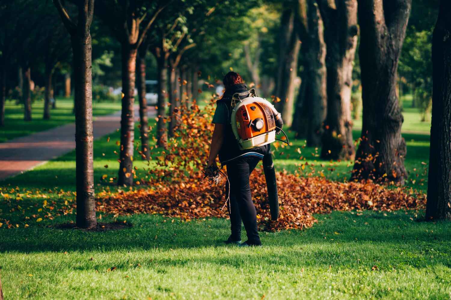 Best Large Tree Removal  in Buckhead Ridge, FL